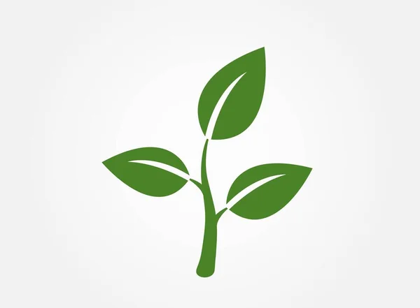 Növényi Hajtás Ikon Eco Environment Growth Szimbólum Természet Tervezési Elem — Stock Vector