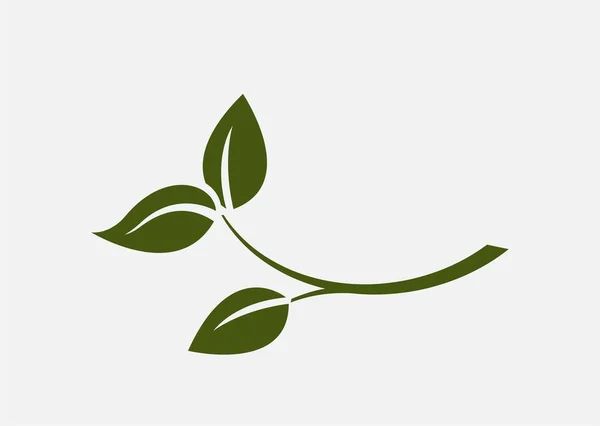 Leaf Branch Icon Eco Environment Plant Symbol Nature Design Element — Stock Vector