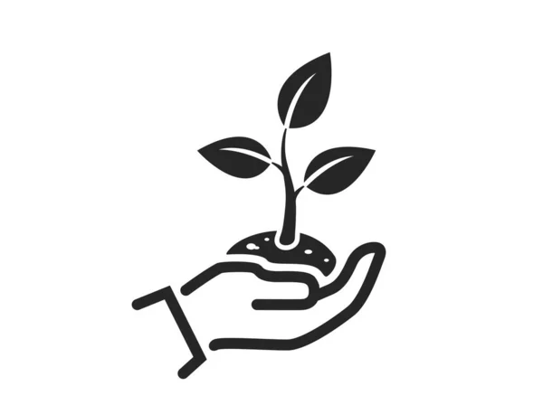 Plant Spruit Hand Pictogram Sla Het Milieusymbool Natuur Ecologisch Ontwerp — Stockvector