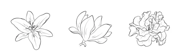 Conjunto Flores Desenhadas Mão Contorno Florescer Ilustração Elementos Florais Vetoriais — Vetor de Stock