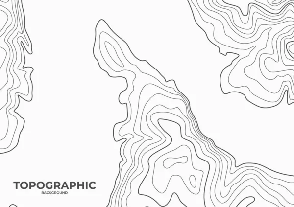 Sfondo Della Mappa Topografica Disegno Della Mappa Contorno Della Penisola — Vettoriale Stock