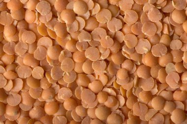 Kırmızı mercimek çerçeve doldurma