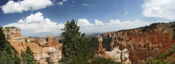 Bryce Canyon Overlook Panoramic — Stock Photo, Image