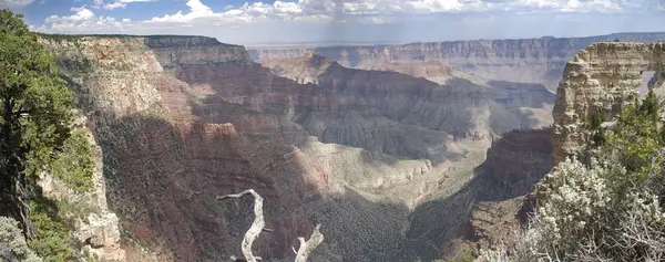 Grand Canyon North Rim - Panoramique — Photo