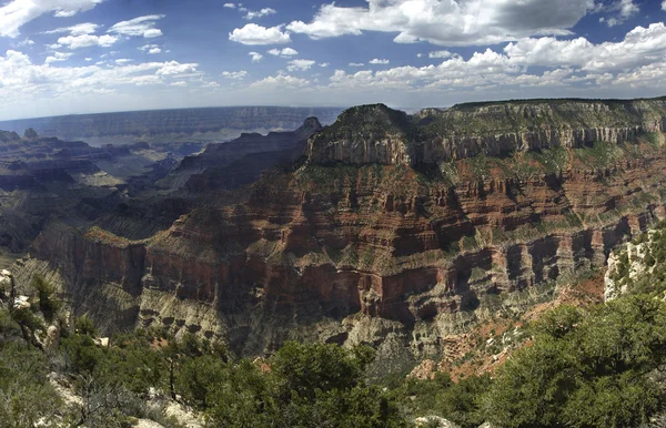 Grand canyon borda norte — Fotografia de Stock