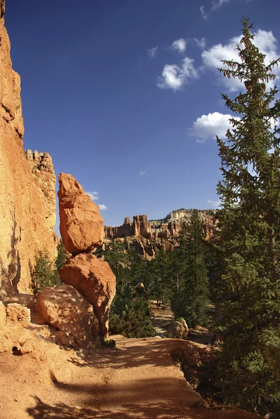 Trilha de caminhada dentro do Bryce Canyon — Fotografia de Stock