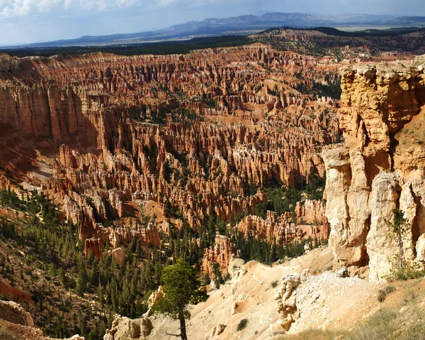 Bryce Canyon Hoodoos — Stock Photo, Image