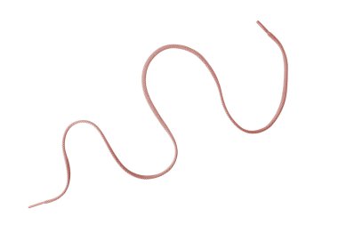 Red Shoelace curved - isolated clipart