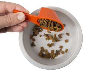 Dry Cat food falling into bowl clipart