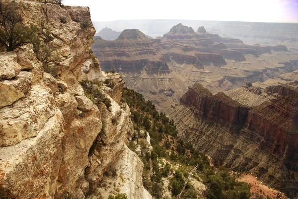 Grand Canyon Cliffs — Stock Photo, Image
