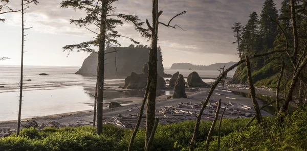 Ruby Beach Panorama — Stockfoto