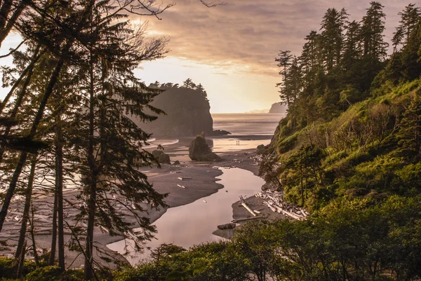 Ruby Beach Paisagem — Fotografia de Stock