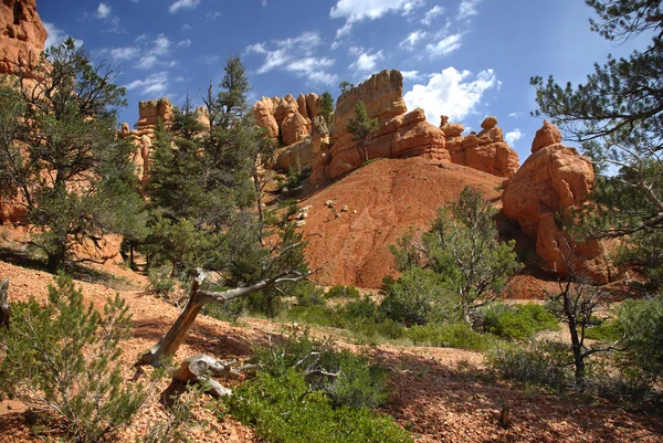 Red Canyon Landscape — Stock Photo, Image