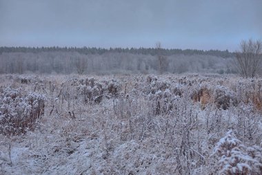 Çimenler buz ve karla kaplıydı..