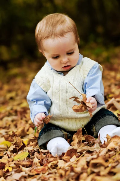 Adorable bébé garçon assis dans les feuilles — Photo