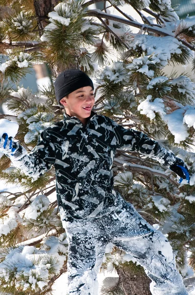 Lindo chico en árbol de nieve — Foto de Stock