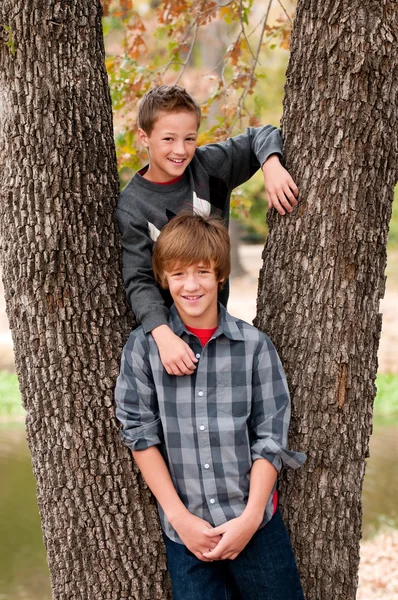 Due fratelli in un albero all'aperto — Foto Stock