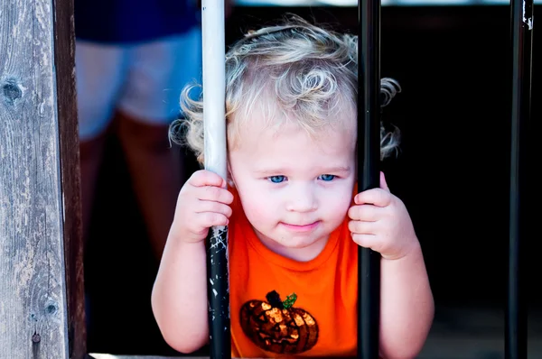Adorable little toddler girl in pumpkin shirt behind bars. — Stock Photo, Image