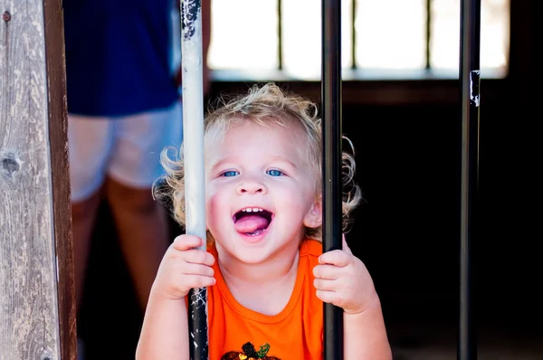 Adorable little toddler girl in pumpkin shirt behind bars. — Stock Photo, Image