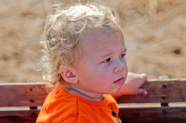 Adorable portrait of little toddler girl in pumpkin shirt riding — Stock Photo, Image