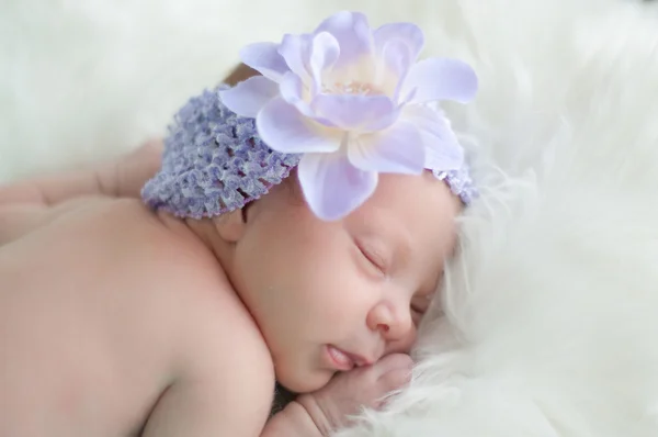 Portret noworodka baby girl w lavendar kwiat opaska sleepi — Zdjęcie stockowe