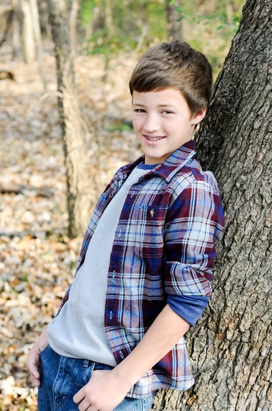 Söt ung pojke lutar på träd — Stockfoto