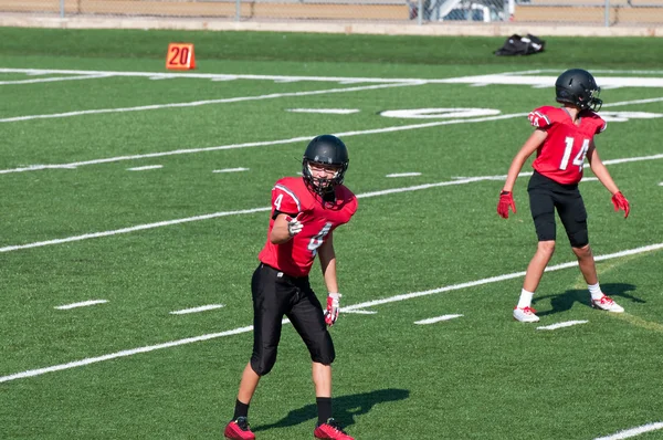 American football speler wijzend op de zijlijn. — Stockfoto