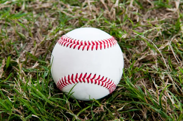 Бейсбол сидит на траве — стоковое фото