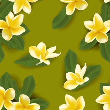 Vektör çizim frangipani ile seamless modeli