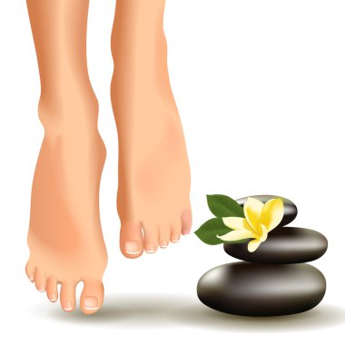 Spa konseptiyle gerçekçi kadın ayakları, frangipani ve taşlar. Vektör çizim.