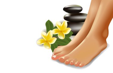 Spa konseptiyle gerçekçi kadın ayakları, frangipani ve taşlar. Vektör çizim.