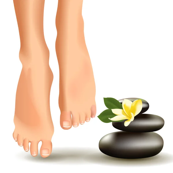 Concepto SPA con pies femeninos realistas, frangipani y piedras. Ilustración vectorial . — Vector de stock