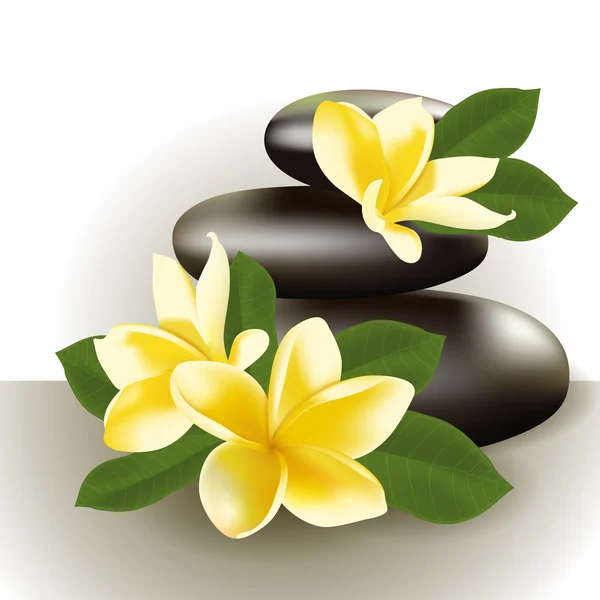 Spa bodegón con flor de frangipani, ilustración vectorial . — Archivo Imágenes Vectoriales