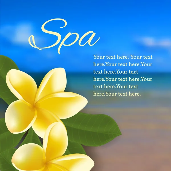 Spa concept with blurred seaside background and realistic vector frangipani — Stock Vector