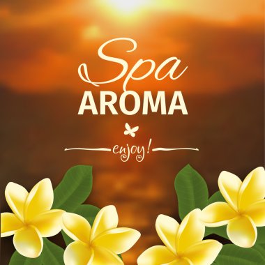 Bulanık deniz arka plan ve gerçekçi vektör frangipani Spa konseptiyle