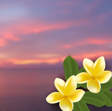 Bulanık deniz arka plan ve gerçekçi vektör frangipani Spa konseptiyle