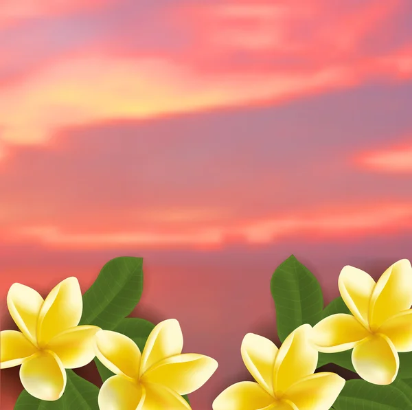 Concepto de spa con fondo borroso junto al mar y frangipani vector realista — Archivo Imágenes Vectoriales