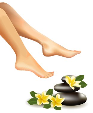Spa konseptiyle gerçekçi kadın ayakları, frangipani ve taşlar. Vektör çizim.