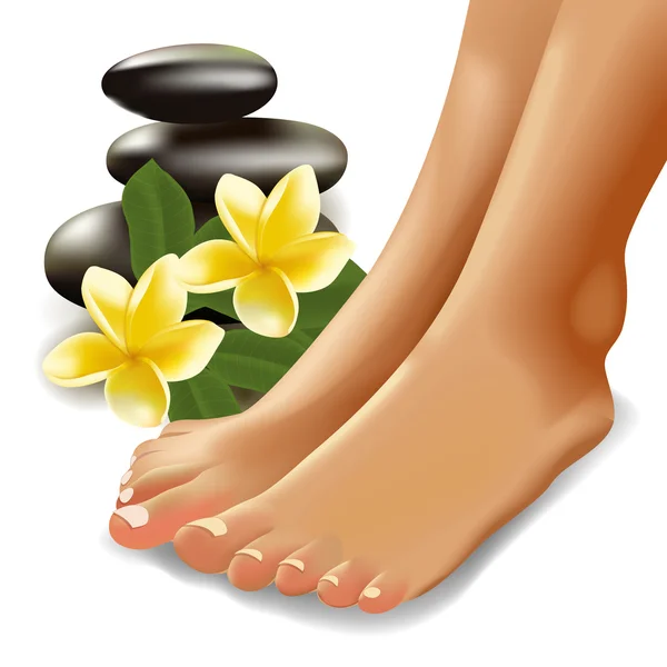 Concepto SPA con pies femeninos realistas, frangipani y piedras. Ilustración vectorial . — Vector de stock