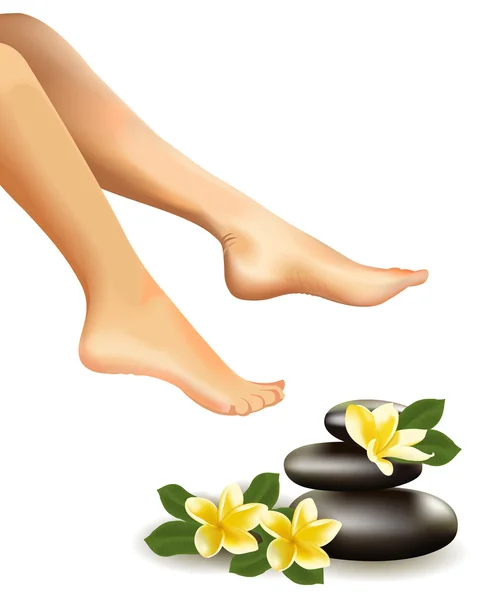 Spa concept met realistische vrouwelijke voeten, frangipani en stenen. Vectorillustratie. — Stockvector