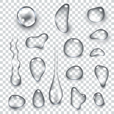 Saf berrak su damlaları izole edilmiş vektör çizimi