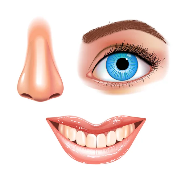 Σετ από όμορφα γυναικεία μάτια, μύτη και χαμογελαστό στόμα με γυαλιστερά χείλη. Χαμογελώντας δόντια. Λευκό φόντο. Ρεαλιστική διανυσματική απεικόνιση. — Διανυσματικό Αρχείο
