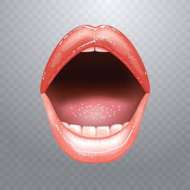 Pembe ruj renginde, izole edilmiş, güzel, çıplak kadın dudakları. Ağzı açık, dişleri açık.