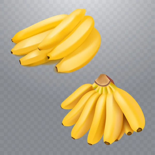 Set pisang realistis dan pisang bayi pada latar belakang transparan kotak-kotak. Buah tropis. Ilustrasi vektor 3D - Stok Vektor