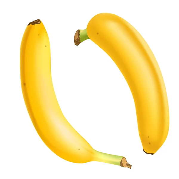 Set von 2 realistischen Bananen isoliert auf weißem Hintergrund.. Tropische Früchte. 3D-Vektordarstellung — Stockvektor