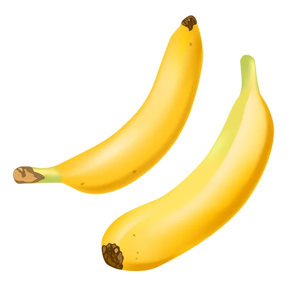 Conjunto de 2 bananas realistas isoladas em fundo branco.. Frutos tropicais. Ilustração vetorial 3D — Vetor de Stock