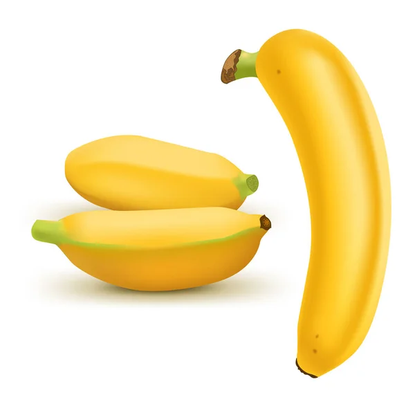 Conjunto de bananas realistas e baby bananas isoladas em fundo branco. Frutos tropicais. Ilustração vetorial 3D — Vetor de Stock