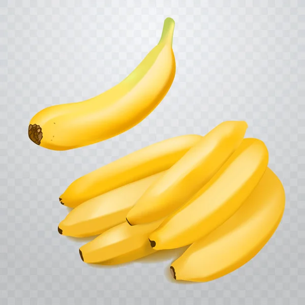 Conjunto de 2 bananas realistas em fundo transparente quadriculado.. Frutos tropicais. Ilustração vetorial 3D — Vetor de Stock