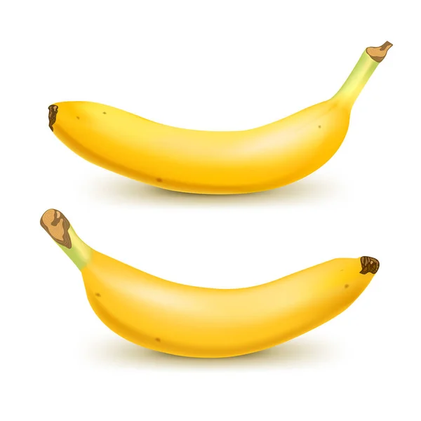 Set de 2 plátanos realistas aislados sobre fondo blanco.. Frutas tropicales. Ilustración vectorial 3D — Archivo Imágenes Vectoriales
