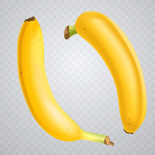 Uppsättning av 2 realistiska bananer på rutig transparent bakgrund.. Tropiska frukter. 3D vektor illustration — Stock vektor
